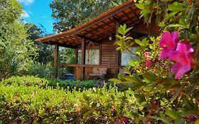 Casa linda rodeada de natureza - localização ideal no centro